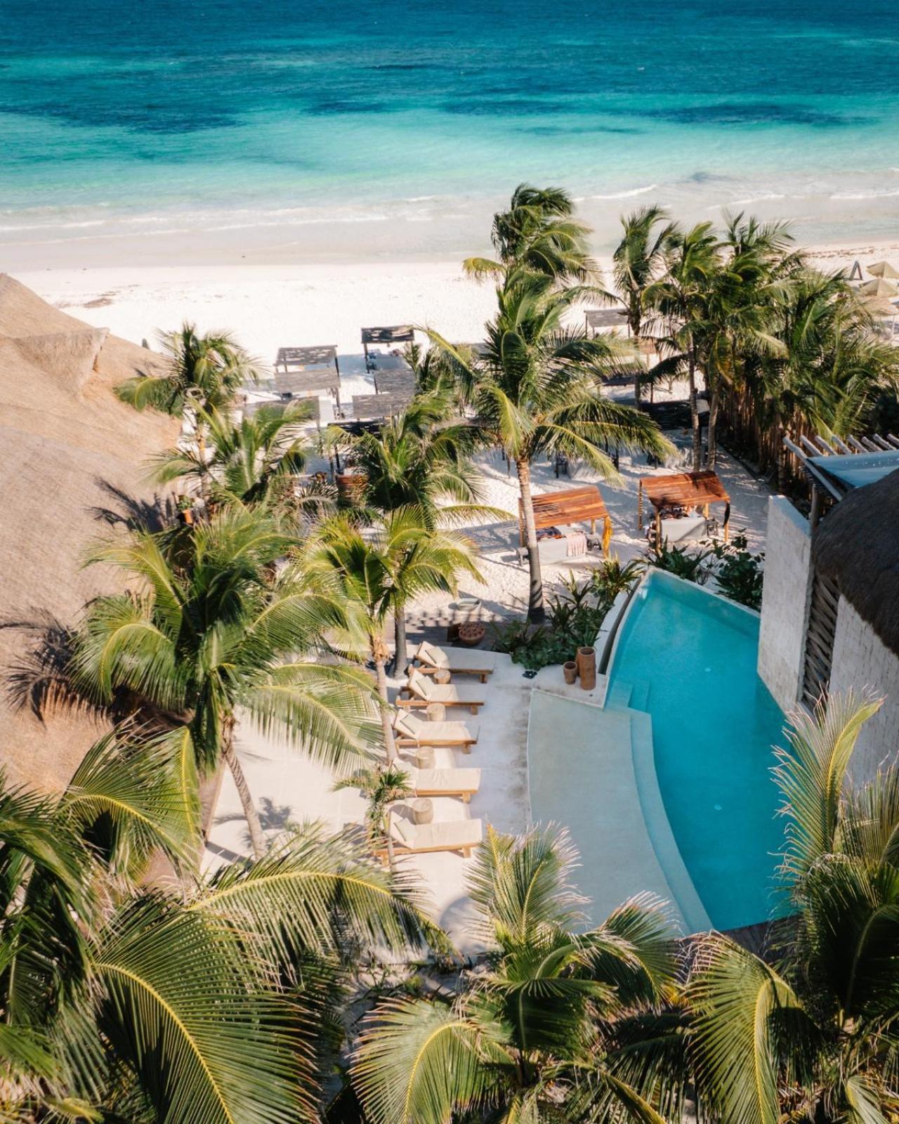 Gulliver Condo - Free Beach Club Access & Bikes تولوم المظهر الخارجي الصورة